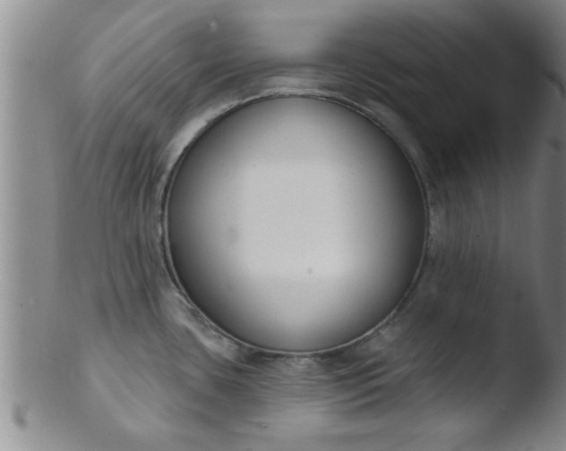 X0000103491435200809261940