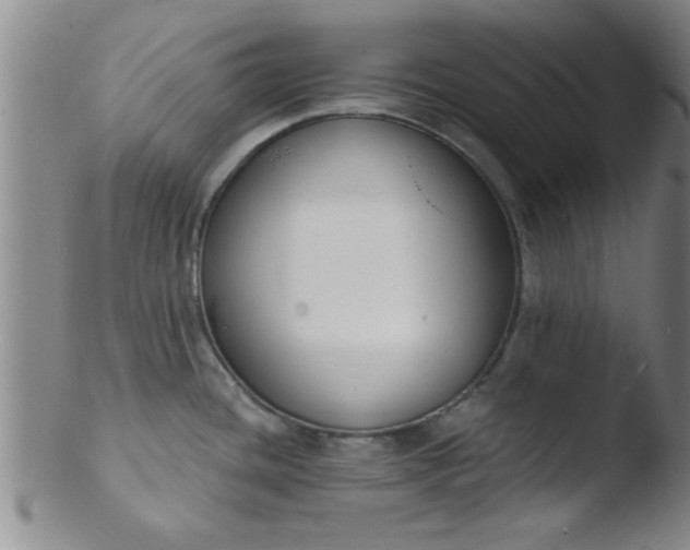 X0000103491436200809261940