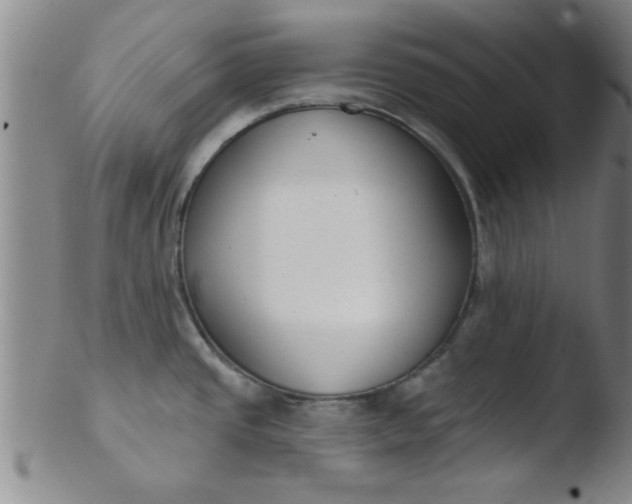 X0000103491437200809261940