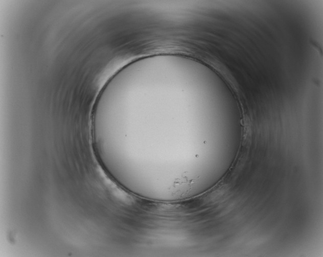 X0000103491439200809261940