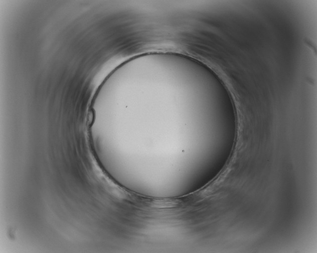 X0000103491440200809261940