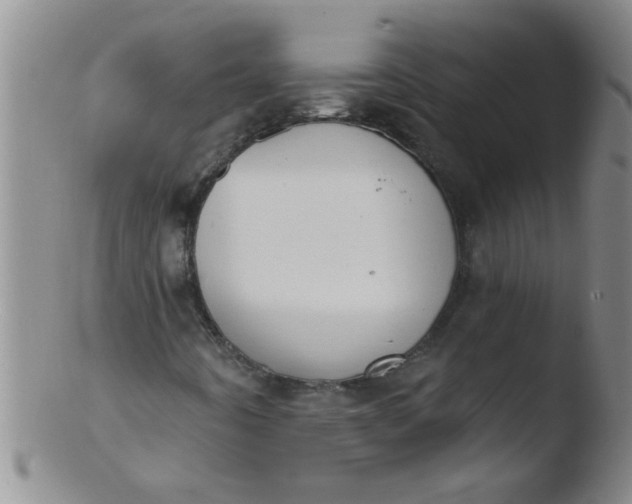 X0000103491442200809261939