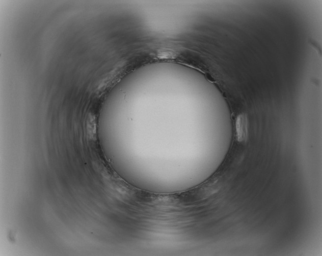 X0000103491443200809261939