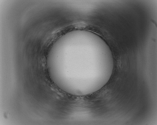 X0000103491445200809261939