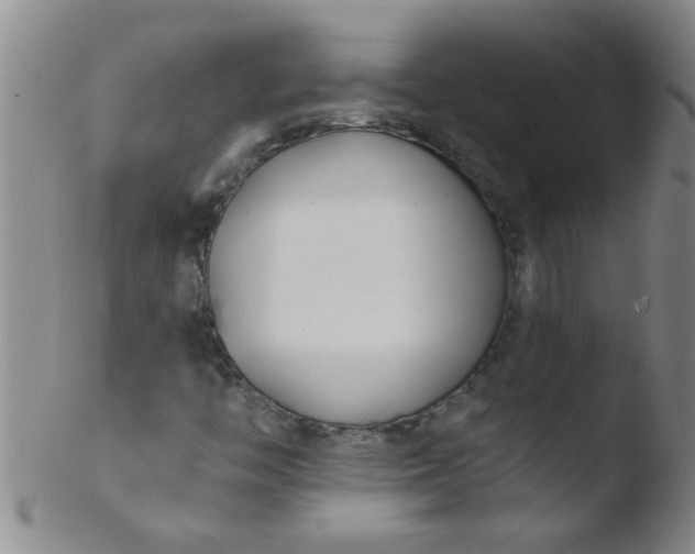 X0000103491446200809261939