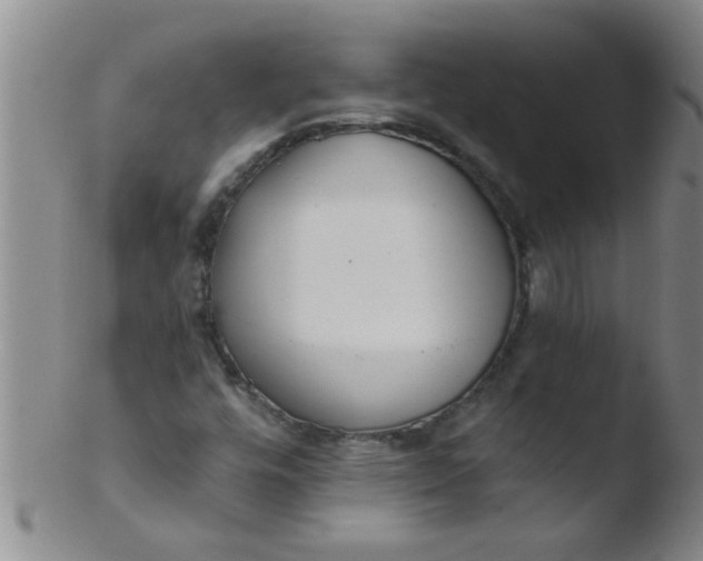 X0000103491448200809261939