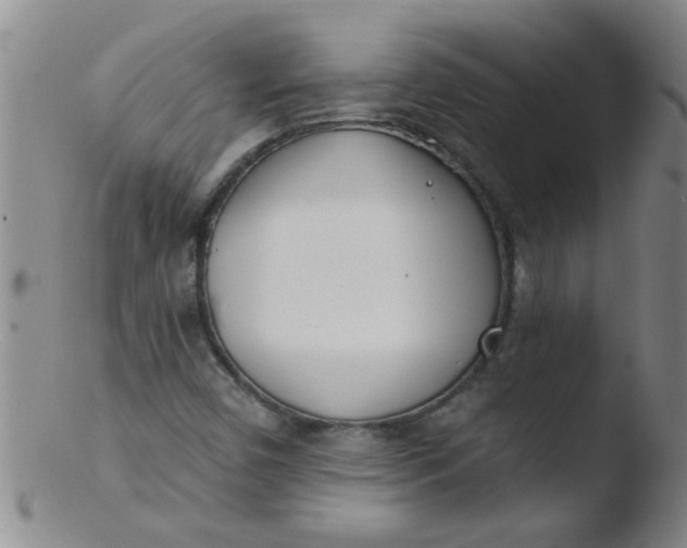 X0000103491450200809261939