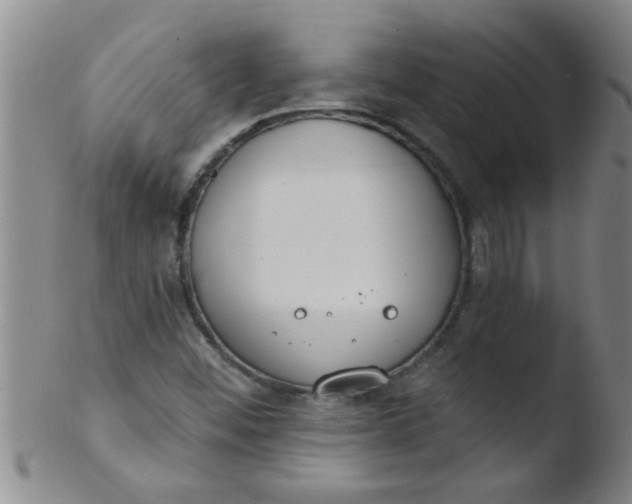 X0000103491452200809261939