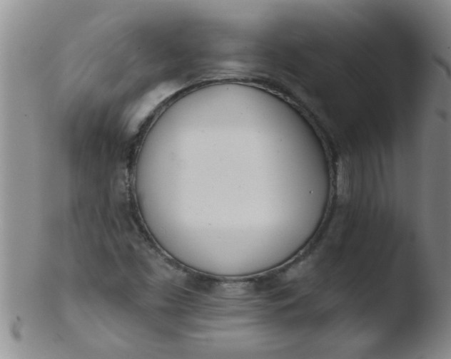 X0000103491453200809261939