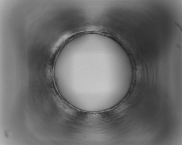 X0000103491454200809261939