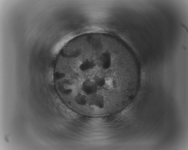 X0000103491455200809261939