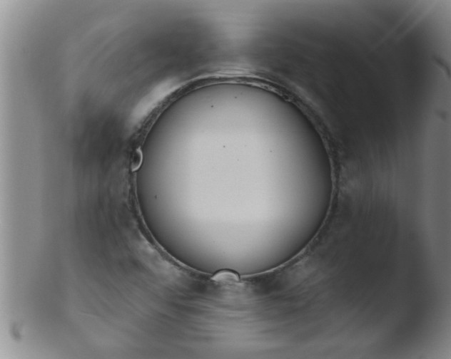 X0000103491456200809261939