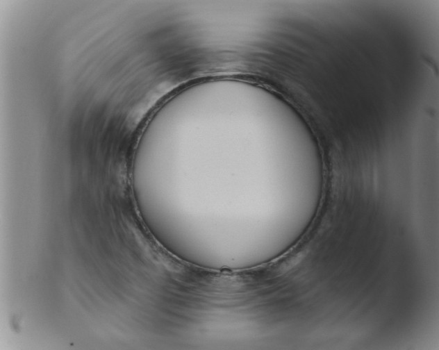 X0000103491457200809261939