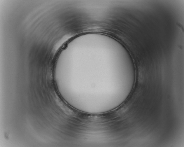 X0000103491458200809261939