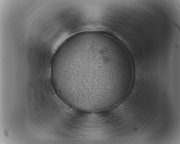 X0000103491459200809261939