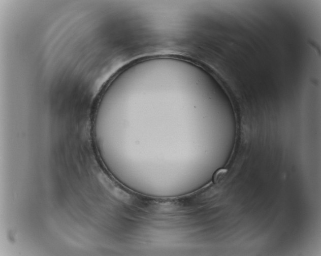 X0000103491460200809261939