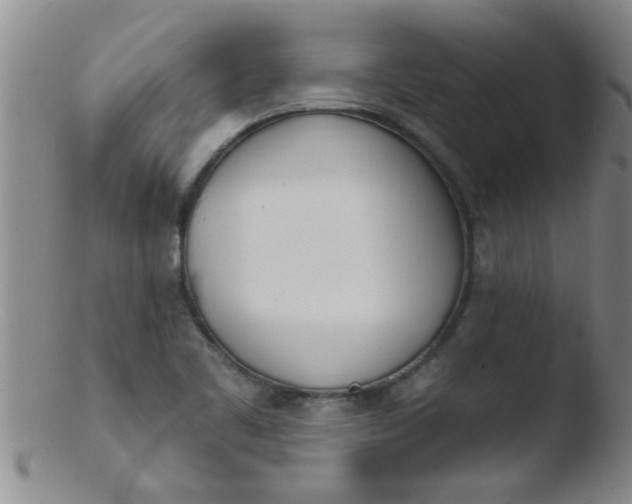 X0000103491461200809261939