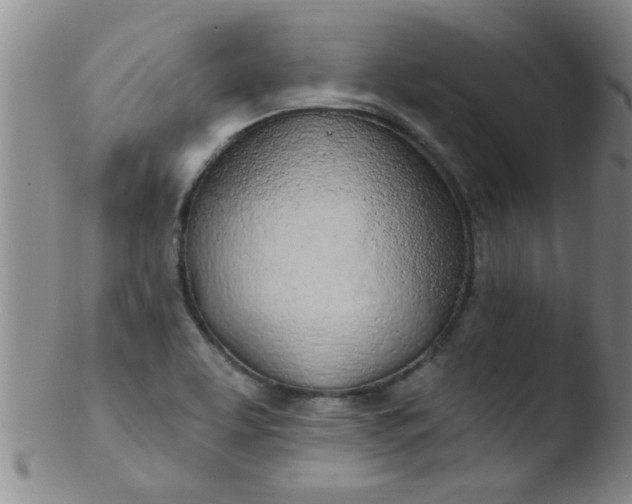 X0000103491463200809261939