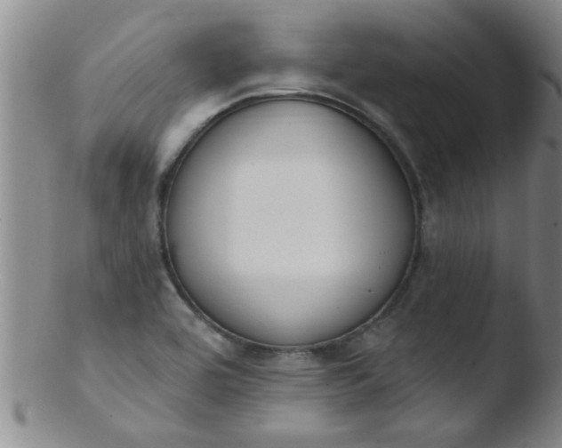 X0000103491464200809261939