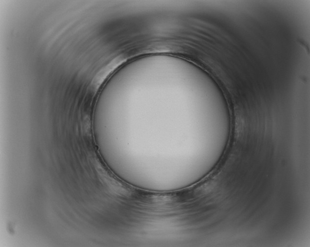 X0000103491465200809261939