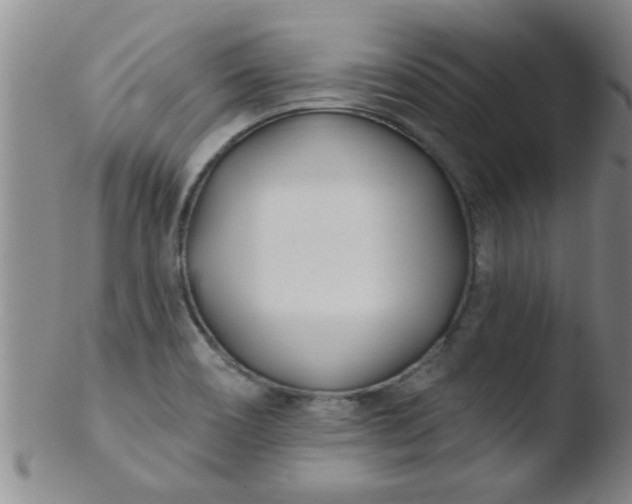 X0000103491466200809261939