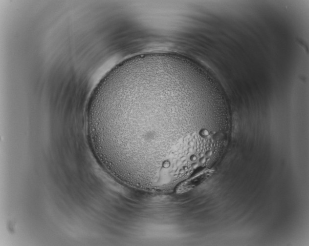 X0000103491467200809261939