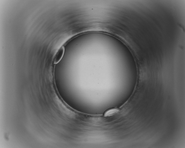 X0000103491468200809261939