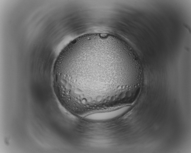 X0000103491471200809261939