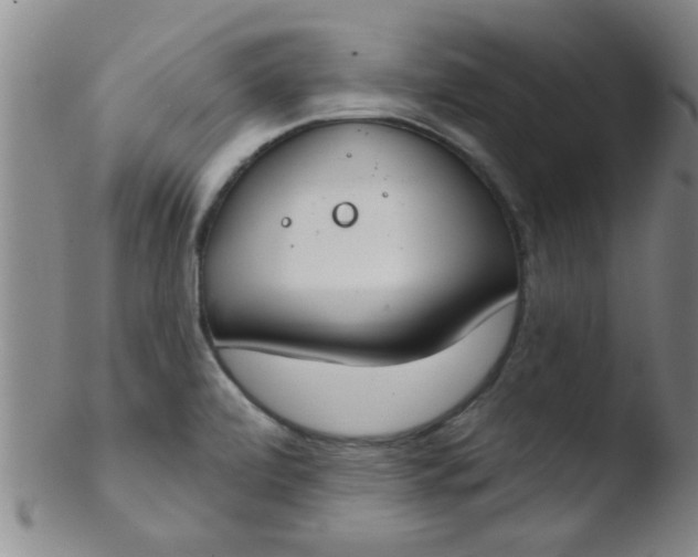 X0000103491472200809261939