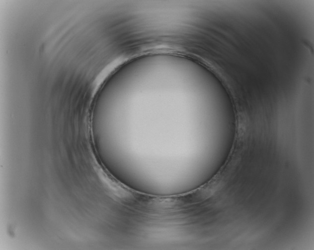 X0000103491474200809261939