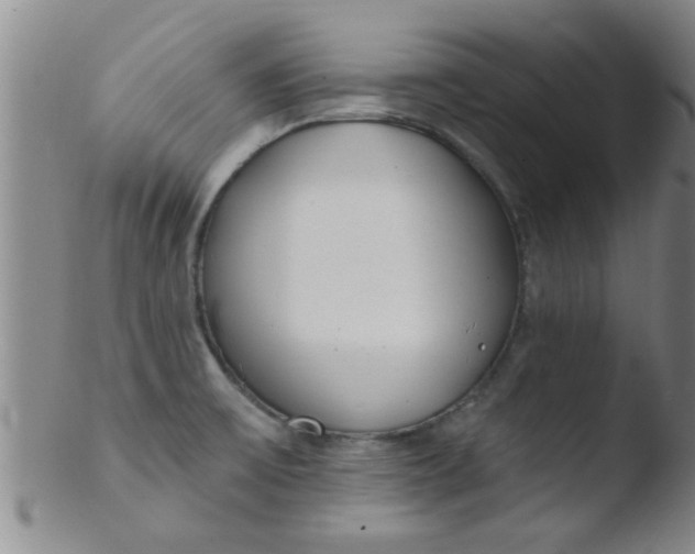 X0000103491475200809261939