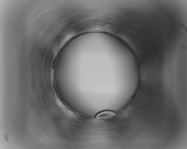 X0000103491476200809261939