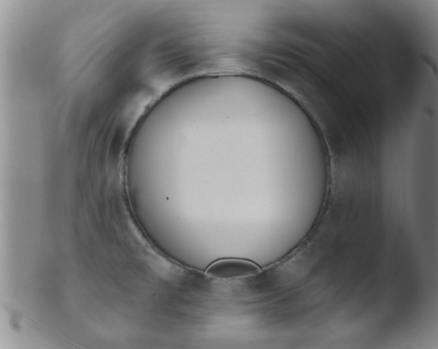 X0000103491477200809261939