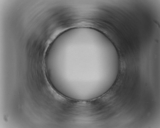 X0000103491478200809261939