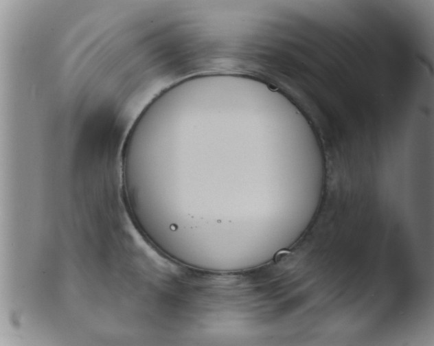 X0000103491479200809261939