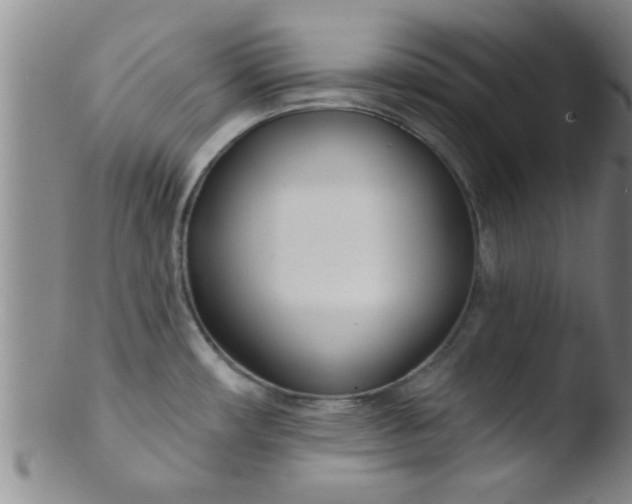 X0000103491482200809261939