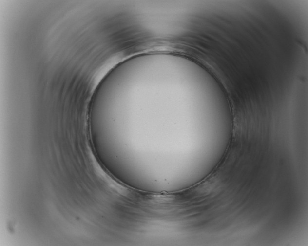 X0000103491483200809261939