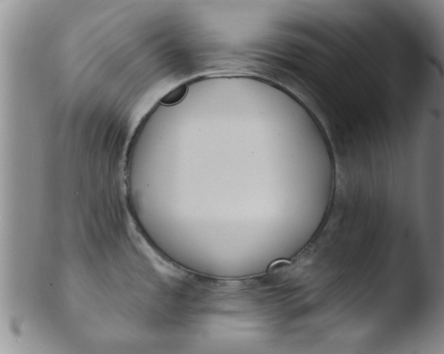 X0000103491485200809261939