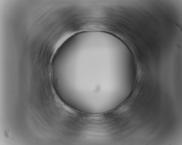 X0000103491486200809261939