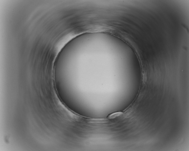 X0000103491487200809261939