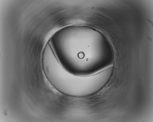 X0000103491488200809261939