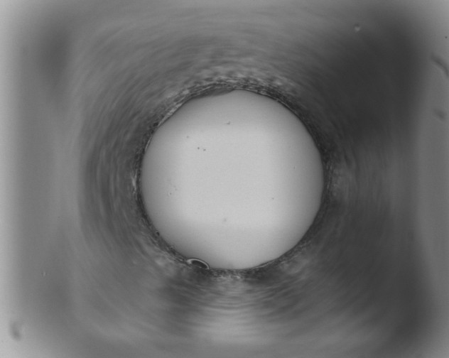 X0000103491489200809261938