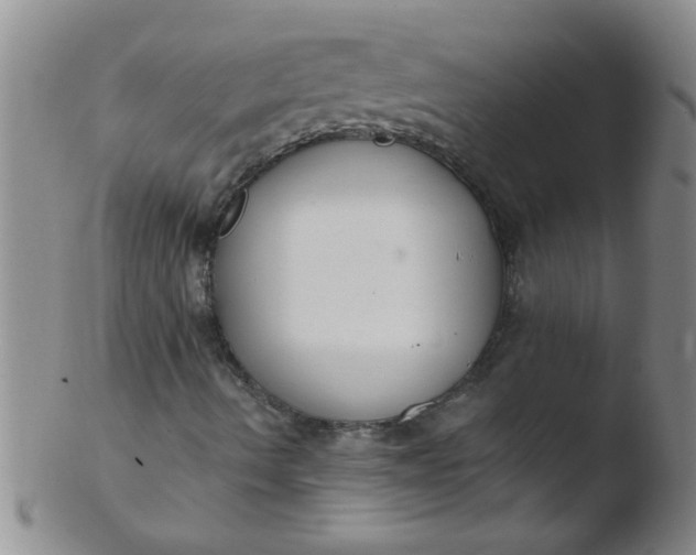 X0000103491490200809261938