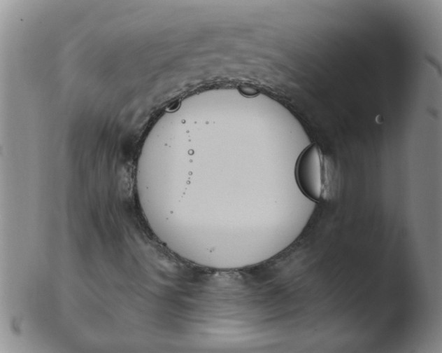 X0000103491491200809261938