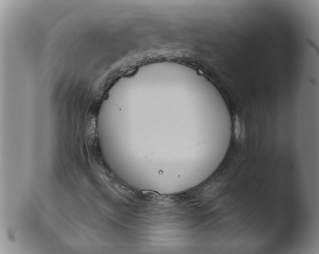 X0000103491492200809261938