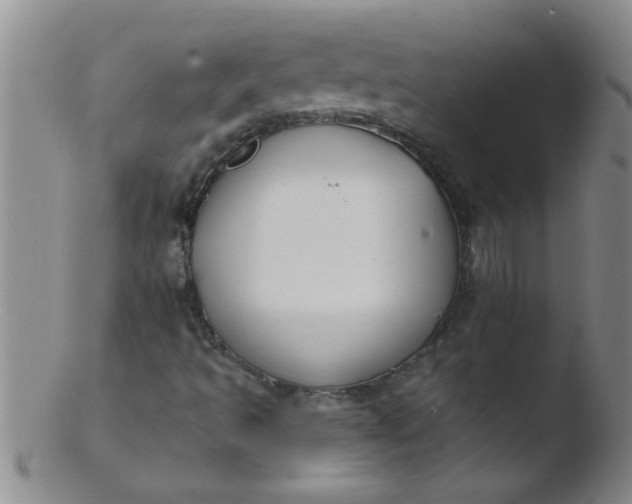 X0000103491493200809261938