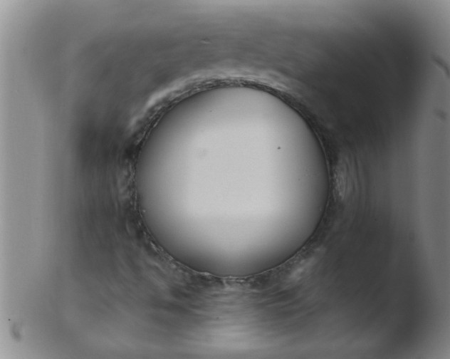 X0000103491494200809261938