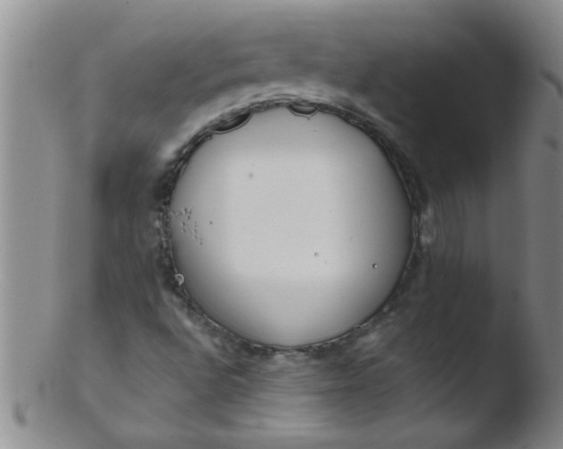 X0000103491496200809261938