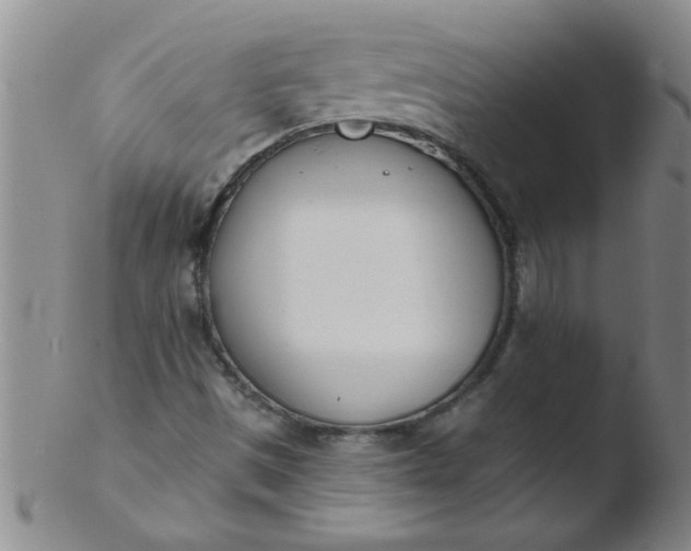 X0000103491497200809261938