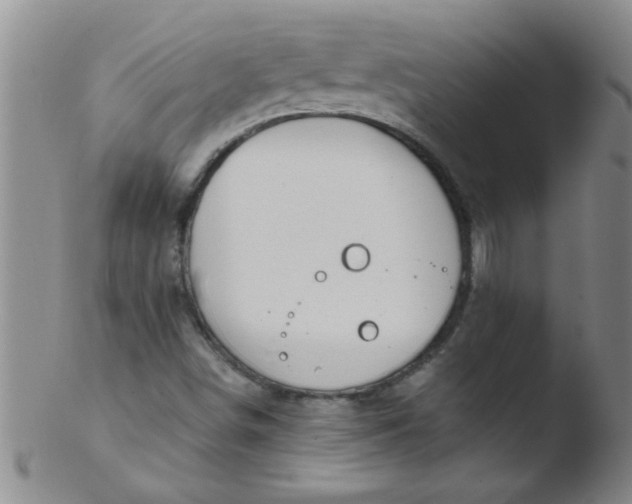 X0000103491498200809261938